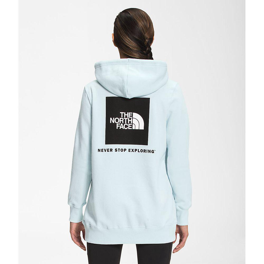The North Face Box Nse Pullover Γυναικεια Φούτερ Hoodie - Μπλε (EJKW65410)